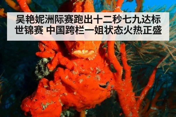 吴艳妮洲际赛跑出十二秒七九达标世锦赛 中国跨栏一姐状态火热正盛