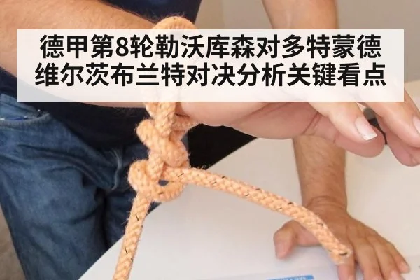 德甲第8轮勒沃库森对多特蒙德维尔茨布兰特对决分析关键看点